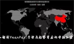 深入解析YuanPay:习惯与趋势背后的中国加密货币