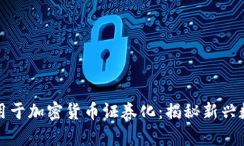 将数学理论应用于加密货币证券化:揭秘新兴数字资产的未来