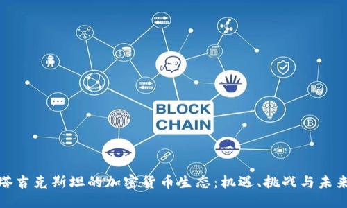 探索塔吉克斯坦的加密货币生态：机遇、挑战与未来发展