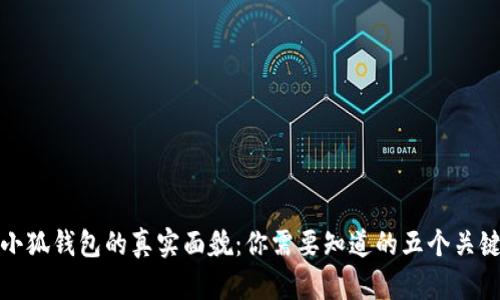 探秘小狐钱包的真实面貌：你需要知道的五个关键真相
