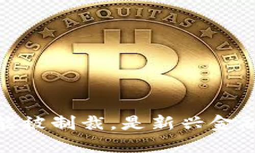 加密货币是否能被制裁,是新兴金融的挑战与机遇