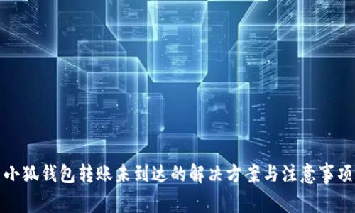 小狐钱包转账未到达的解决方案与注意事项