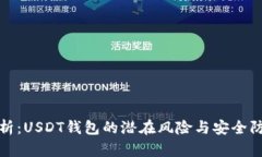全面解析：USDT钱包的潜在风险与安全防护技巧