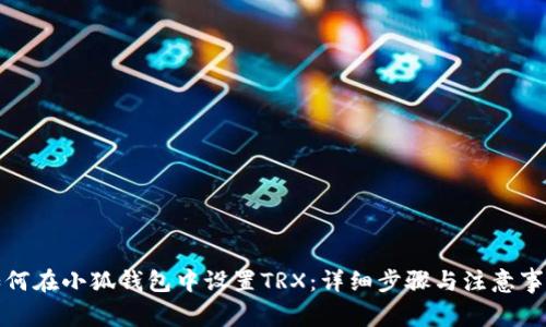 如何在小狐钱包中设置TRX：详细步骤与注意事项