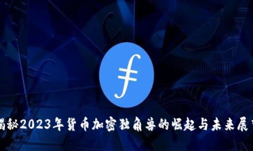 揭秘2023年货币加密独角兽的崛起与未来展望