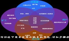 如何快速下载并使用小狐手机钱包：详细步骤指