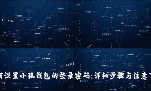 如何设置小狐钱包的登录密码:详细步骤与注意事项