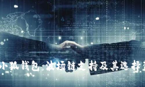 :深入解析小狐钱包：波场链支持及其选择背后的逻辑
