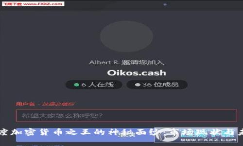 揭开印度加密货币之王的神秘面纱:市场现状与未来展望