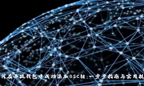 如何在小狐钱包中成功添加BSC链：一步步指南与实用技巧