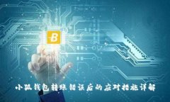 小狐钱包转账错误后的应对措施详解