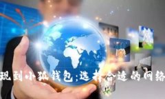 如何将资金提现到小狐钱包:选择合适的网络进