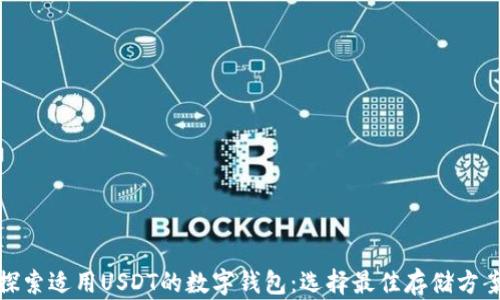 探索适用USDT的数字钱包:选择最佳存储方案