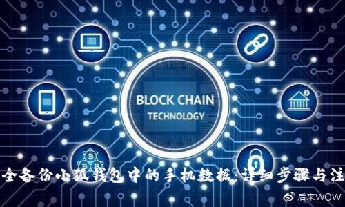 如何安全备份小狐钱包中的手机数据：详细步骤与注意事项