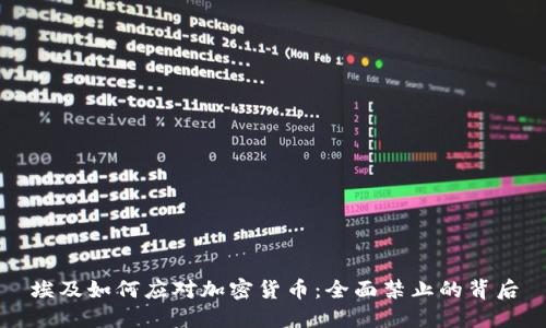 埃及如何应对加密货币：全面禁止的背后
