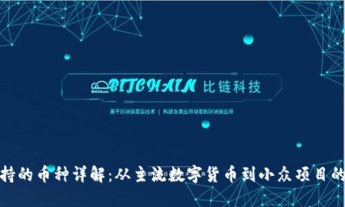小狐钱包支持的币种详解：从主流数字货币到小众项目的全方位探讨