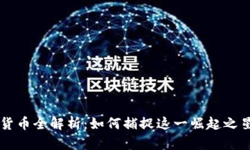 : Vera加密货币全解析：如何捕捉这一崛起之星的投资机会