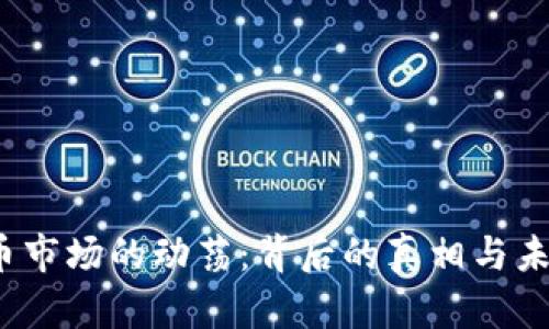  加密货币市场的动荡：背后的真相与未来的趋势