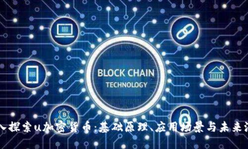 深入探索u加密货币：基础原理、应用场景与未来潜力