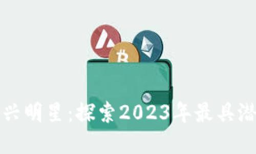加密货币的新兴明星：探索2023年最具潜力的数字资产
