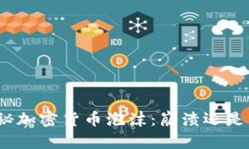视频揭秘加密货币泡沫：崩溃还是新机会？