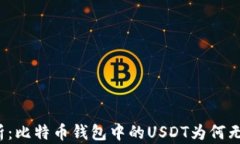 深入解析：比特币钱包中的USDT为何无法转出？
