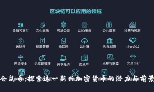 仓鼠币：探索这一新兴加密货币的潜力与前景