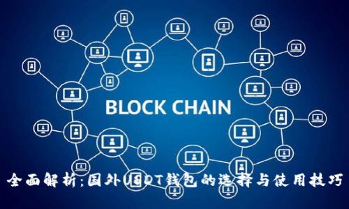 全面解析：国外USDT钱包的选择与使用技巧