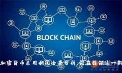  全球各国加密货币采用状况全景分析：谁在引领