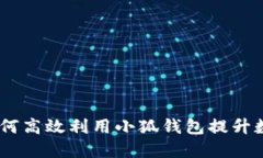 小狐钱包燃料：如何高效利用小狐钱包提升数字