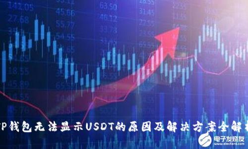 TP钱包无法显示USDT的原因及解决方案全解析
