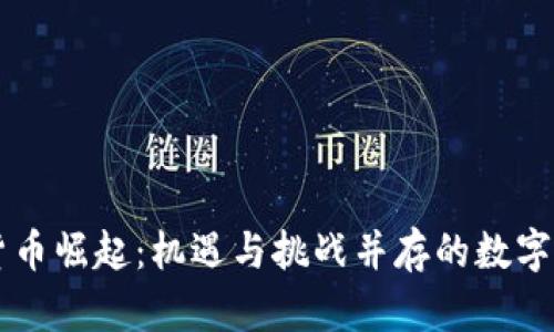 非洲加密货币崛起：机遇与挑战并存的数字经济新纪元
