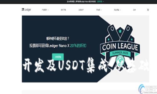 全面解析区块链钱包开发及USDT集成：从基础到实操的详尽指南