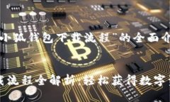 以下是关于“小狐钱包下载流程”的全面介绍：