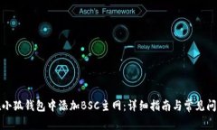 如何在小狐钱包中添加BSC主网：详细指南与常见
