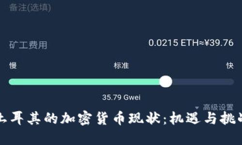 土耳其的加密货币现状：机遇与挑战
